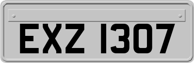 EXZ1307