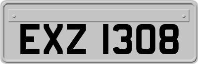 EXZ1308