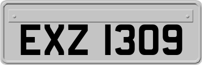 EXZ1309