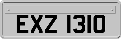 EXZ1310
