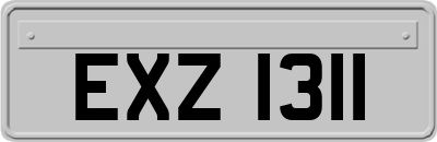 EXZ1311