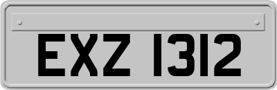 EXZ1312