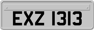 EXZ1313