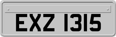 EXZ1315