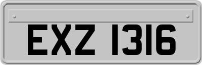EXZ1316
