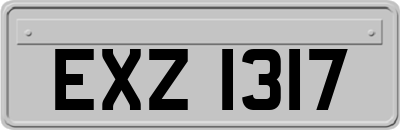 EXZ1317