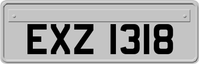 EXZ1318