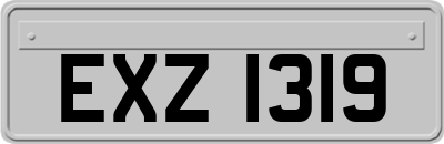 EXZ1319