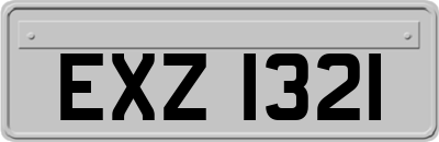 EXZ1321
