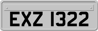 EXZ1322