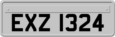 EXZ1324
