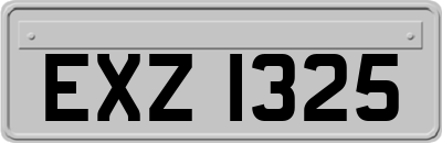 EXZ1325