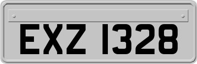 EXZ1328