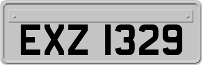 EXZ1329