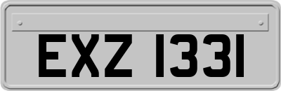 EXZ1331