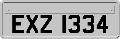 EXZ1334