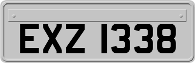 EXZ1338