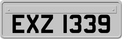 EXZ1339
