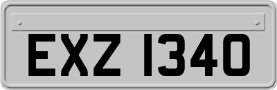 EXZ1340