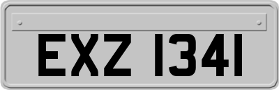 EXZ1341