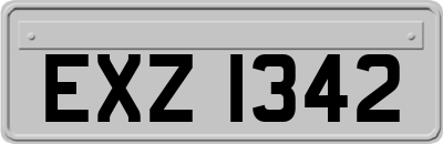 EXZ1342