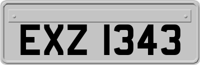 EXZ1343
