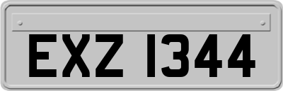 EXZ1344