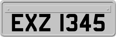EXZ1345