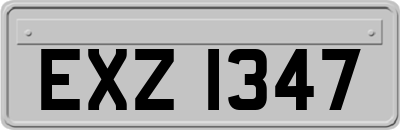 EXZ1347