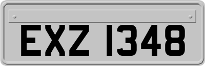 EXZ1348