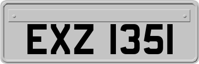 EXZ1351