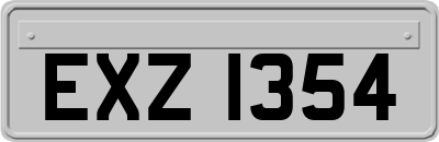 EXZ1354