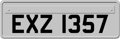 EXZ1357