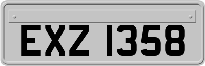 EXZ1358
