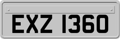 EXZ1360