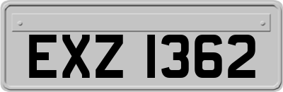 EXZ1362