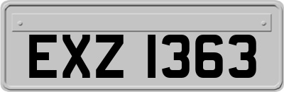 EXZ1363