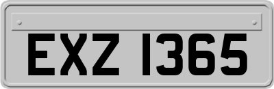 EXZ1365