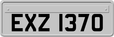 EXZ1370