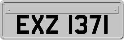 EXZ1371
