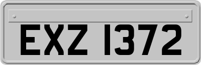 EXZ1372
