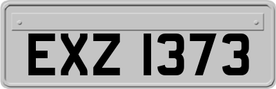 EXZ1373