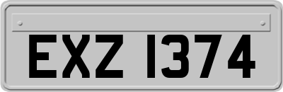 EXZ1374