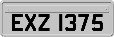 EXZ1375