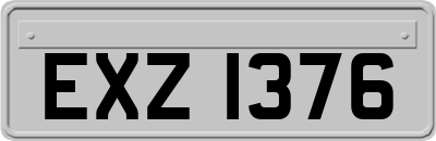EXZ1376