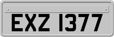 EXZ1377