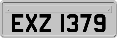 EXZ1379