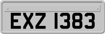 EXZ1383