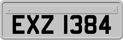 EXZ1384