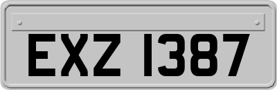 EXZ1387